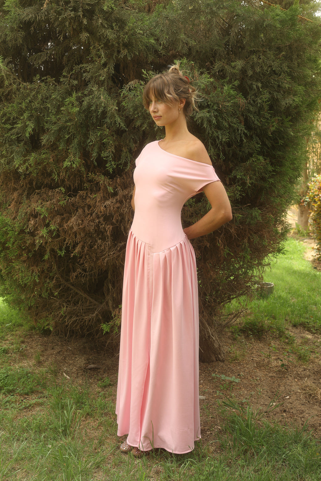 Blush Rose Selenara Dress